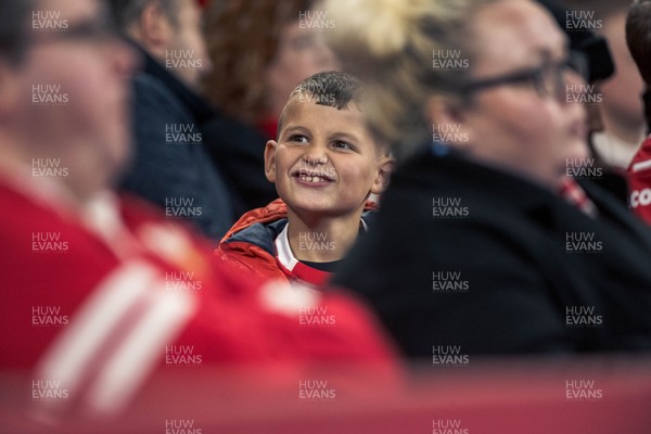 091125 - Wales v Argentina - Quilter Nations Series - Wales fans during the game 