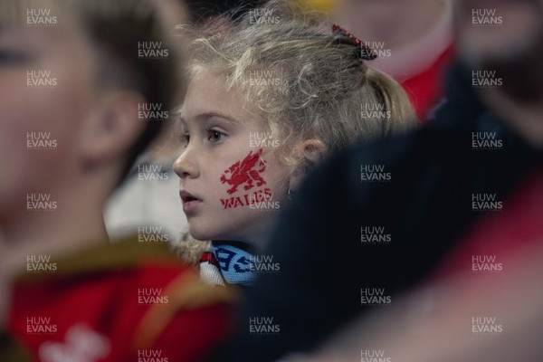091125 - Wales v Argentina - Quilter Nations Series - Wales fans during the game 
