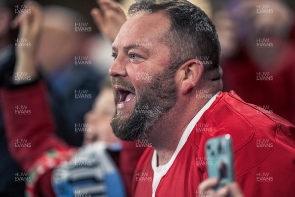 091125 - Wales v Argentina - Quilter Nations Series - Wales fans during the game 