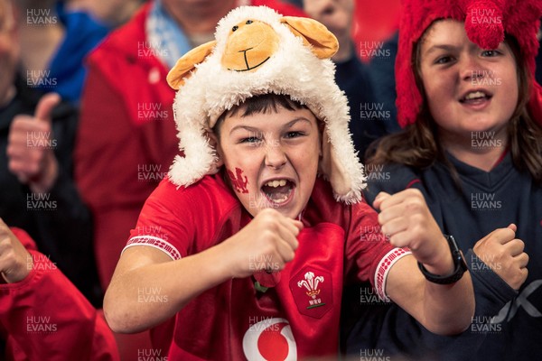 091125 - Wales v Argentina - Quilter Nations Series - Wales fans during the game