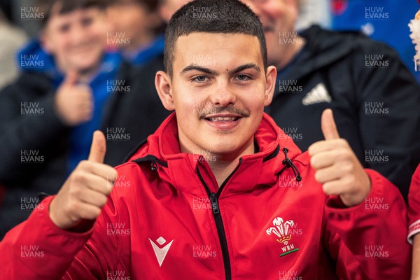 091125 - Wales v Argentina - Quilter Nations Series - Wales fans during the game