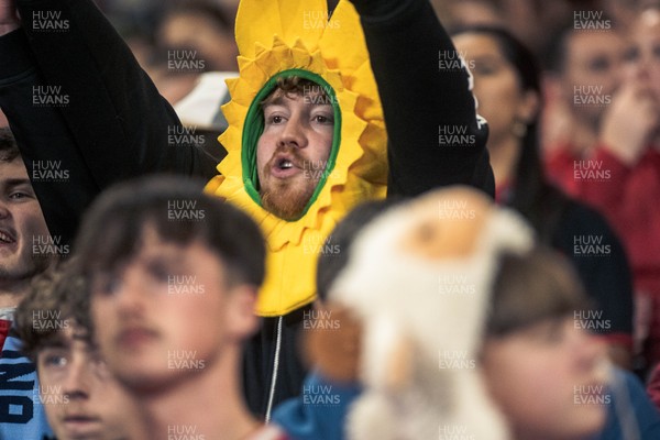 091125 - Wales v Argentina - Quilter Nations Series - Wales fans during the game 