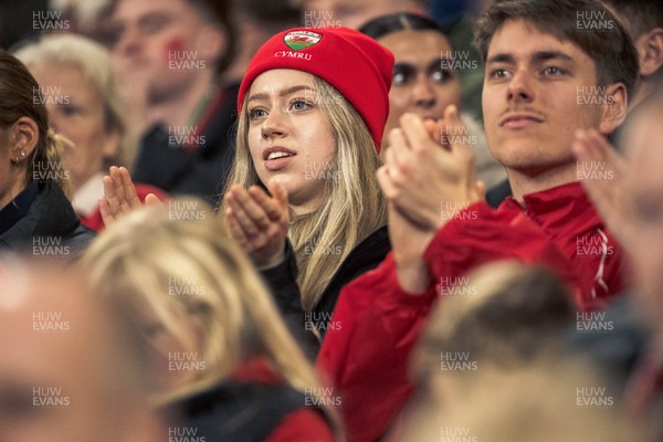 091125 - Wales v Argentina - Quilter Nations Series - Wales fans during the game 