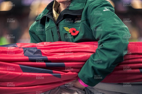 091125 - Wales v Argentina - Quilter Nations Series - Remembrance Day poppy on a cadet 