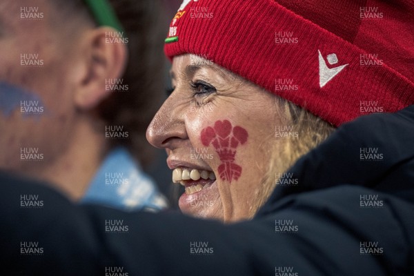 091125 - Wales v Argentina - Quilter Nations Series - Wales fans during the game 