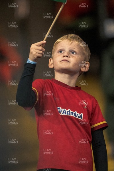 091125 - Wales v Argentina - Quilter Nations Series - Wales fans during the game 