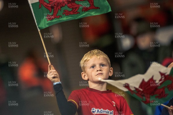 091125 - Wales v Argentina - Quilter Nations Series - Wales fans during the game 