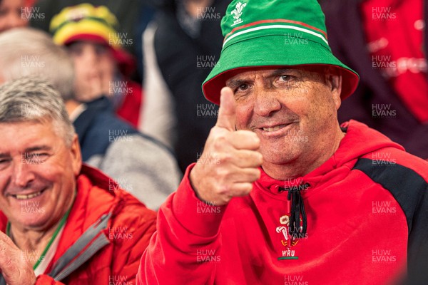 091125 - Wales v Argentina - Quilter Nations Series - Wales fans during the game