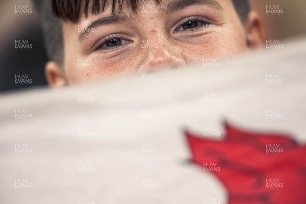 091125 - Wales v Argentina - Quilter Nations Series - Wales fans during the game 
