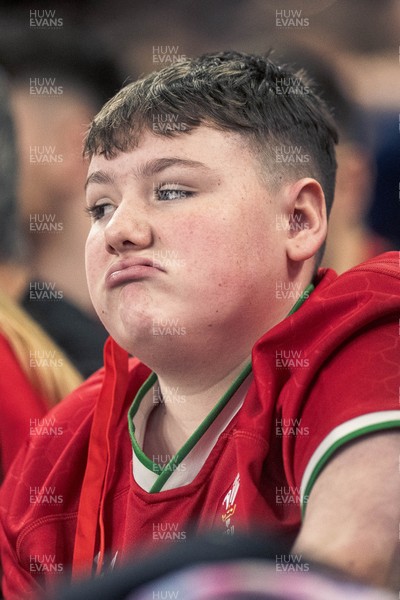 091125 - Wales v Argentina - Quilter Nations Series - Wales fans during the game 
