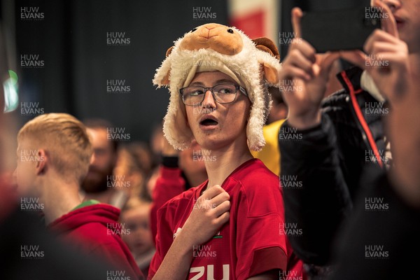 091125 - Wales v Argentina - Quilter Nations Series - Wales fans during the game