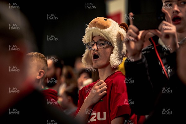 091125 - Wales v Argentina - Quilter Nations Series - Wales fans during the game