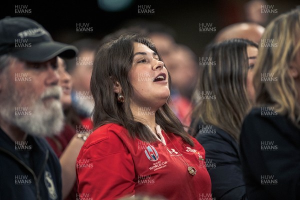 091125 - Wales v Argentina - Quilter Nations Series - Wales fans during the game 