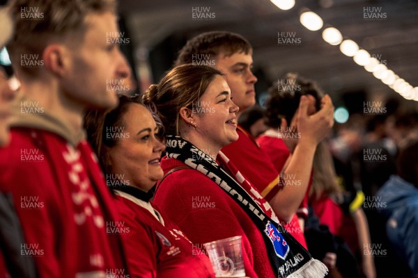 091125 - Wales v Argentina - Quilter Nations Series - Wales fans during the game