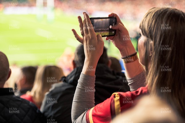 091125 - Wales v Argentina - Quilter Nations Series - Wales fans during the game