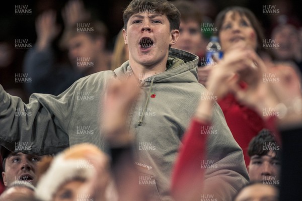 091125 - Wales v Argentina - Quilter Nations Series - Wales fans during the game 