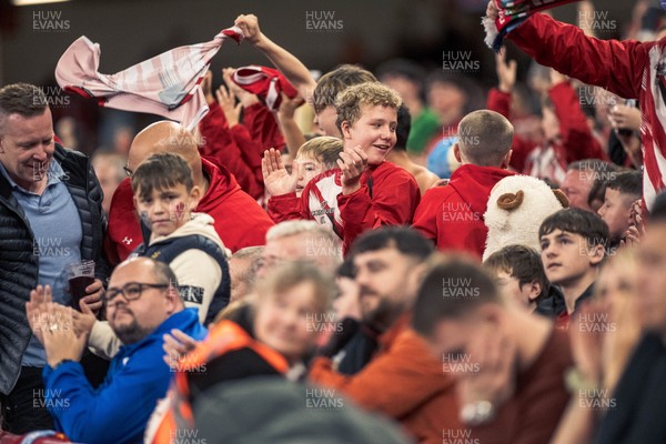 091125 - Wales v Argentina - Quilter Nations Series - Wales fans during the game 