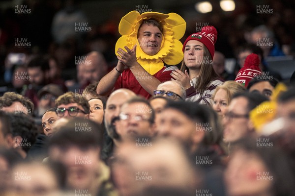 091125 - Wales v Argentina - Quilter Nations Series - Wales fans during the game 