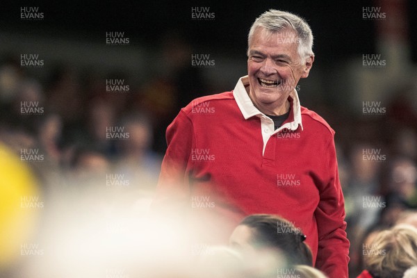 091125 - Wales v Argentina - Quilter Nations Series - Wales fans during the game 