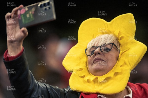 091125 - Wales v Argentina - Quilter Nations Series - Wales fans during the game 