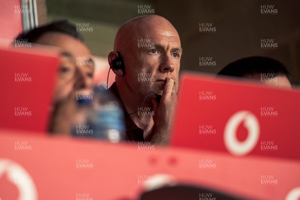 091125 - Wales v Argentina - Quilter Nations Series - Wales coach Steve Tandy looks on during the game 