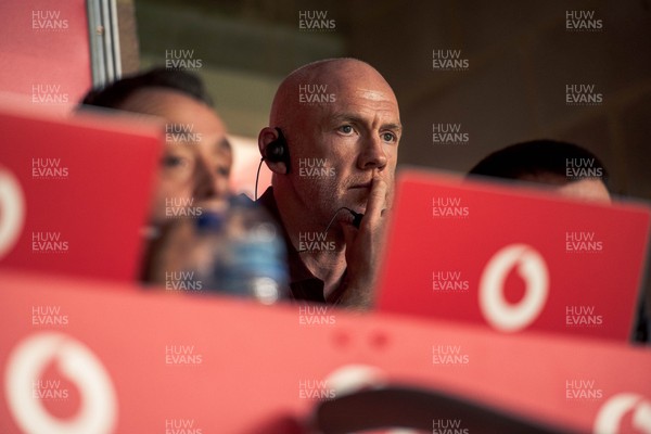 091125 - Wales v Argentina - Quilter Nations Series - Wales coach Steve Tandy looks on during the game 