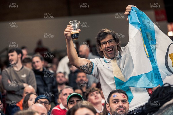 091125 - Wales v Argentina - Quilter Nations Series - Argentina fans during the game