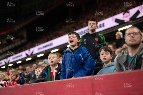 091125 - Wales v Argentina - Quilter Nations Series - Wales fans during the game 