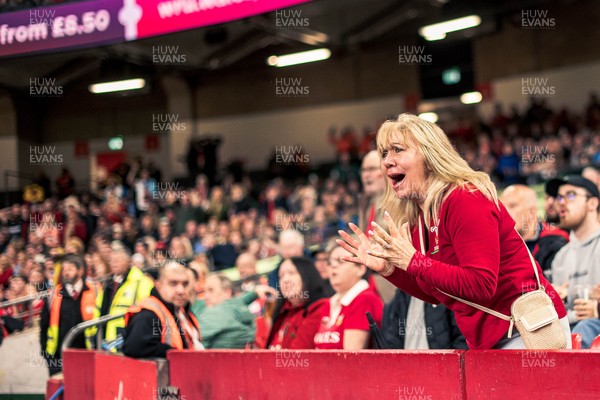091125 - Wales v Argentina - Quilter Nations Series - Wales fans during the game 