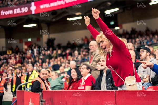 091125 - Wales v Argentina - Quilter Nations Series - Wales fans during the game 