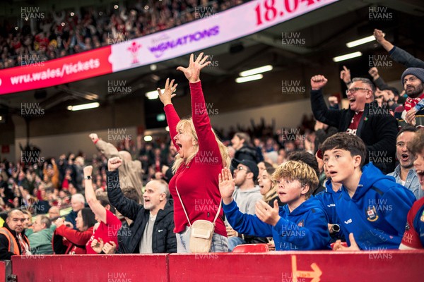 091125 - Wales v Argentina - Quilter Nations Series - Wales fans during the game 