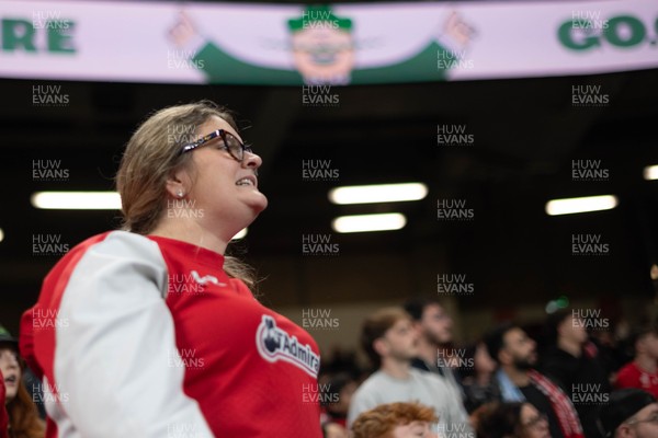091125 - Wales v Argentina - Quilter Nations Series - Wales fans during the game 
