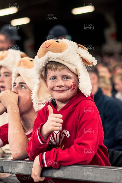 091125 - Wales v Argentina - Quilter Nations Series - Wales fans during the game 