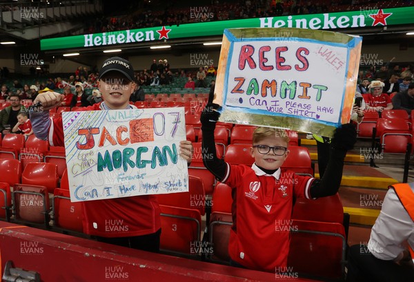 091125 - Wales v Argentina - Quilter Nations Series - Fans