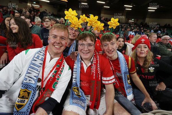 091125 - Wales v Argentina - Quilter Nations Series - Fans