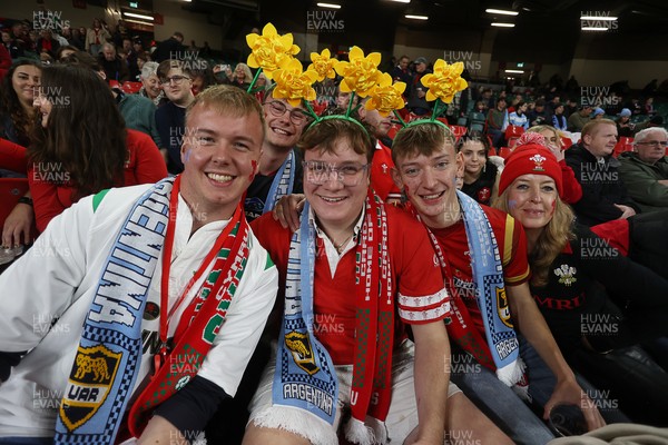 091125 - Wales v Argentina - Quilter Nations Series - Fans
