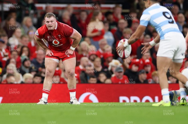091125 - Wales v Argentina - Quilter Nations Series - Dewi Lake of Wales 