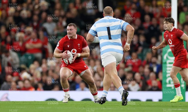 091125 - Wales v Argentina - Quilter Nations Series - Dewi Lake of Wales 
