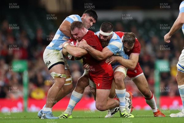 091125 - Wales v Argentina - Quilter Nations Series - Dewi Lake of Wales 