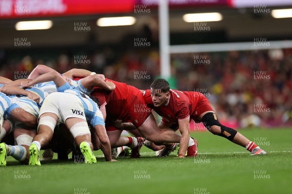 091125 - Wales v Argentina - Quilter Nations Series - Alex Mann of Wales 