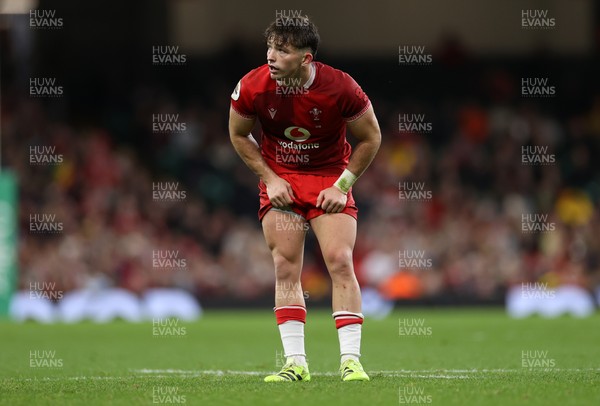 091125 - Wales v Argentina - Quilter Nations Series - Dan Edwards of Wales 