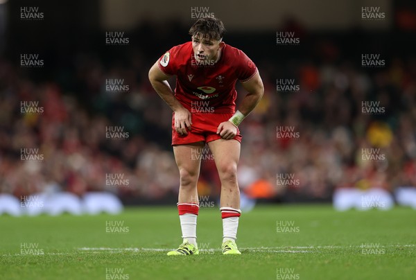 091125 - Wales v Argentina - Quilter Nations Series - Dan Edwards of Wales 