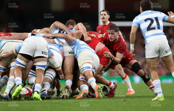 091125 - Wales v Argentina - Quilter Nations Series - Alex Mann of Wales 
