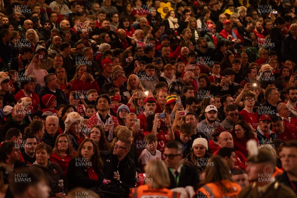 091125 - Wales v Argentina - Quilter Nations Series - Fans