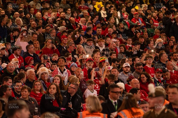 091125 - Wales v Argentina - Quilter Nations Series - Fans