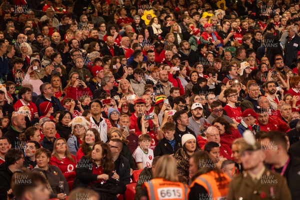 091125 - Wales v Argentina - Quilter Nations Series - Fans