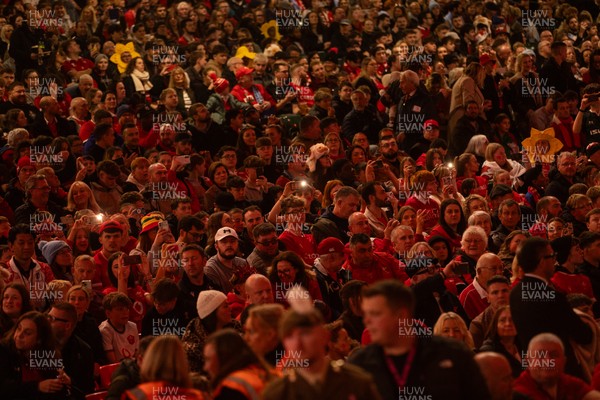 091125 - Wales v Argentina - Quilter Nations Series - Fans