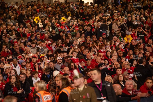091125 - Wales v Argentina - Quilter Nations Series - Fans