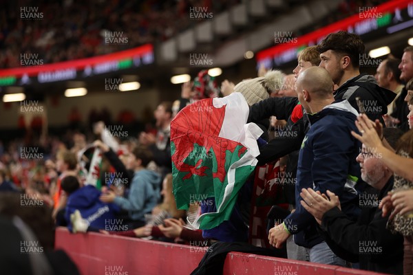 091125 - Wales v Argentina - Quilter Nations Series - Fans