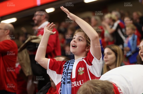 091125 - Wales v Argentina - Quilter Nations Series - Fans